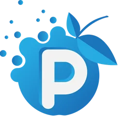 Florent P. — CEO de l'agence Pappleweb