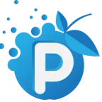 Florent P. — CEO de l'agence Pappleweb